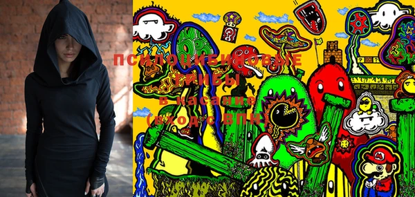 эйфоретик Шали