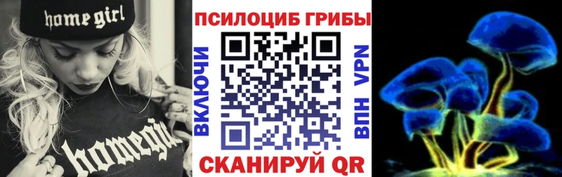 Псилоцибиновые грибы Magic Shrooms  Купить где  Приморско-Ахтарск 